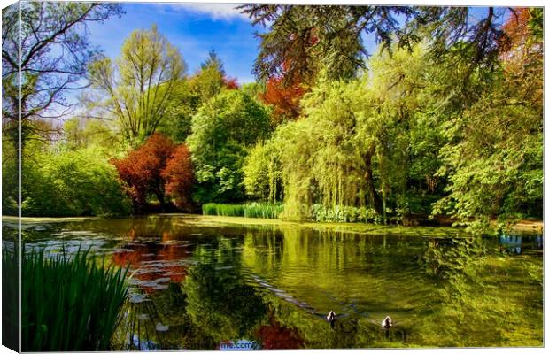 Spring Pond in the Cotswolds Canvas Print by Alice Rose Lenton