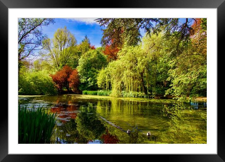 Spring Pond in the Cotswolds Framed Mounted Print by Alice Rose Lenton