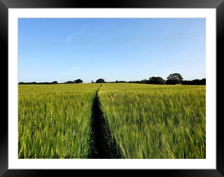 Outdoor field Framed Mounted Print by Oliver Hull