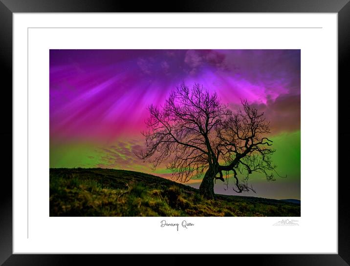 Dancing Queen. Aurora over lone tree  Framed Mounted Print by JC studios LRPS ARPS