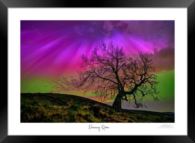 Dancing Queen. Aurora over lone tree  Framed Print by JC studios LRPS ARPS