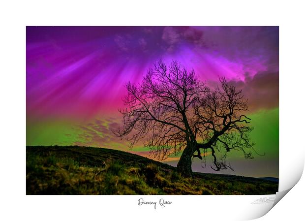 Dancing Queen. Aurora over lone tree  Print by JC studios LRPS ARPS