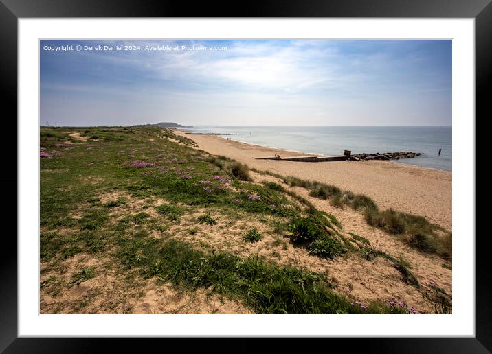 Sea Thrift above Southbourne beach Framed Mounted Print by Derek Daniel