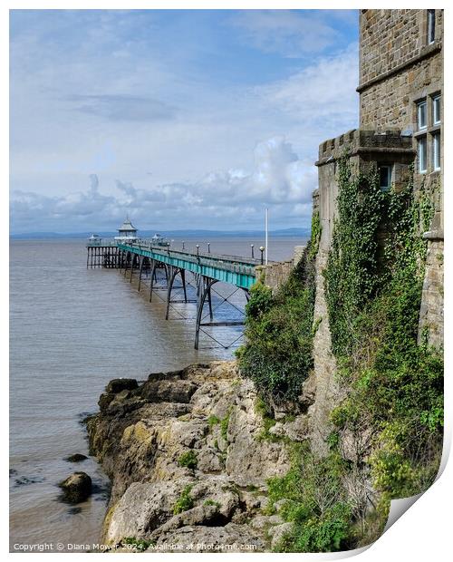 Clevedon Pier Somerset Print by Diana Mower