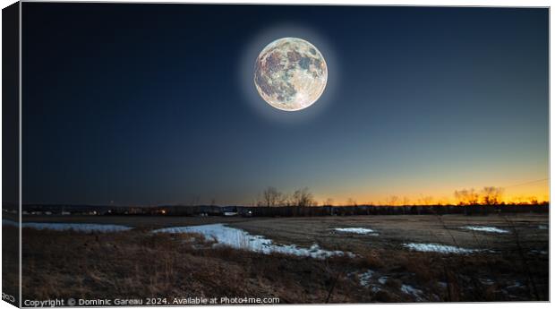 Full Moon  Canvas Print by Dominic Gareau