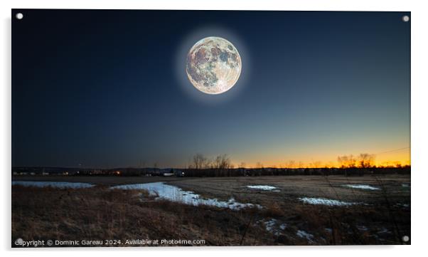 Full Moon  Acrylic by Dominic Gareau
