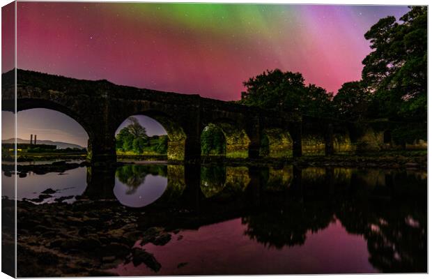 Swan Park with the Northern Lights  Canvas Print by Ciaran Craig