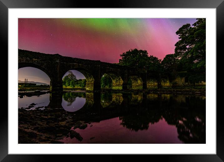 Swan Park with the Northern Lights  Framed Mounted Print by Ciaran Craig