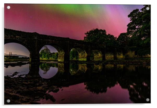 Swan Park with the Northern Lights  Acrylic by Ciaran Craig