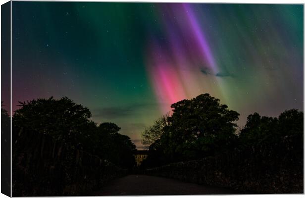 Bridge to Light  Canvas Print by Ciaran Craig