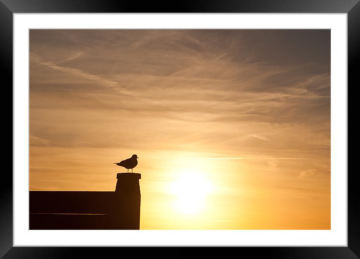 Whitstable Winter Sunset Framed Mounted Print by Robert Coffey