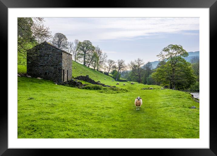 Muker to Gunnerside Trail Framed Mounted Print by Tim Hill