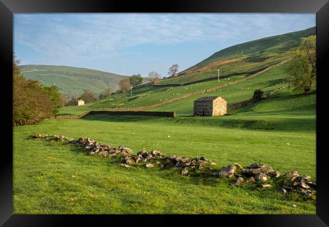 Swaledale Framed Print by Steve Smith