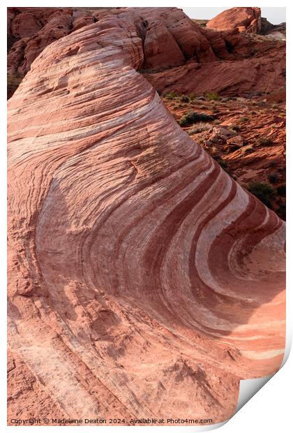 Incredible Wave Pattern in Sandstone Rock Known as the Fire Wave Print by Madeleine Deaton
