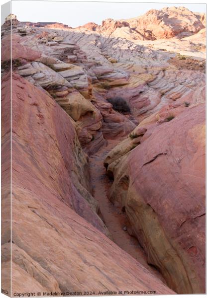 Looking Into the Beautiful Pink Canyon slot From Above Canvas Print by Madeleine Deaton