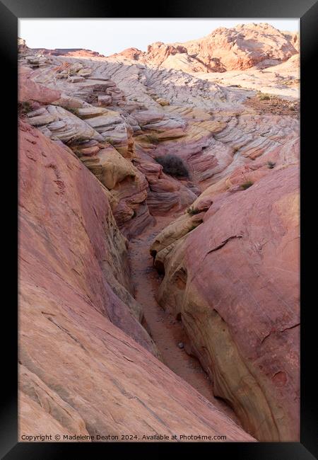 Looking Into the Beautiful Pink Canyon slot From Above Framed Print by Madeleine Deaton