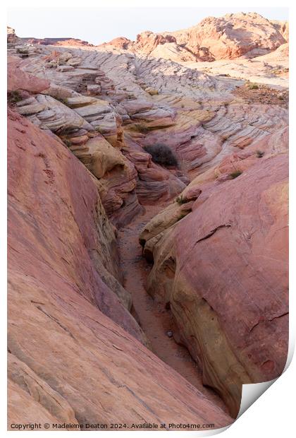 Looking Into the Beautiful Pink Canyon slot From Above Print by Madeleine Deaton