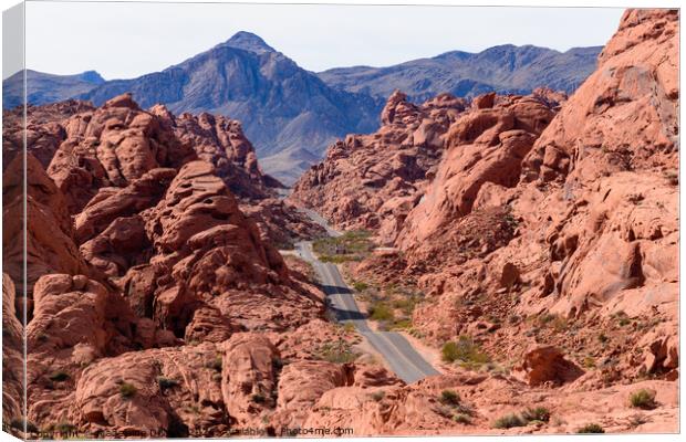 Beautiful View of the Classic Winding Road at Valley of Fire Canvas Print by Madeleine Deaton