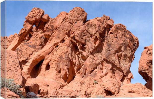 The Famous Elephant Rock Formation at Valley of Fire Canvas Print by Madeleine Deaton