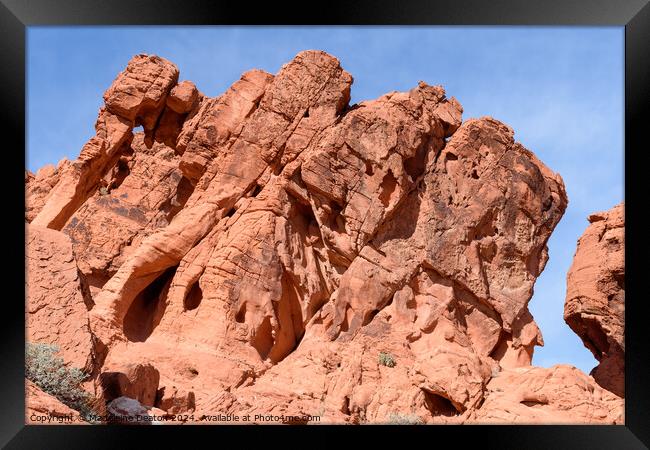 The Famous Elephant Rock Formation at Valley of Fire Framed Print by Madeleine Deaton