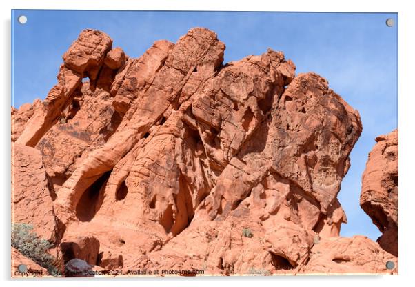 The Famous Elephant Rock Formation at Valley of Fire Acrylic by Madeleine Deaton