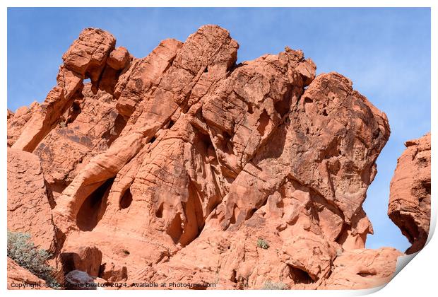 The Famous Elephant Rock Formation at Valley of Fire Print by Madeleine Deaton