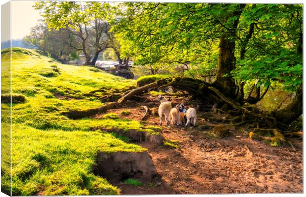 Beautiful Swaledale Canvas Print by Tim Hill