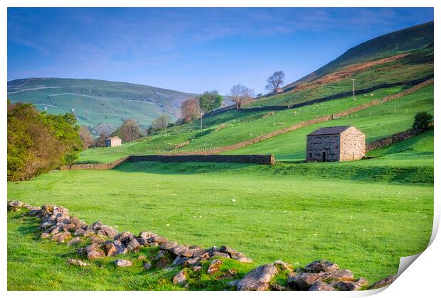 Swaledale Landscape Print by Tim Hill