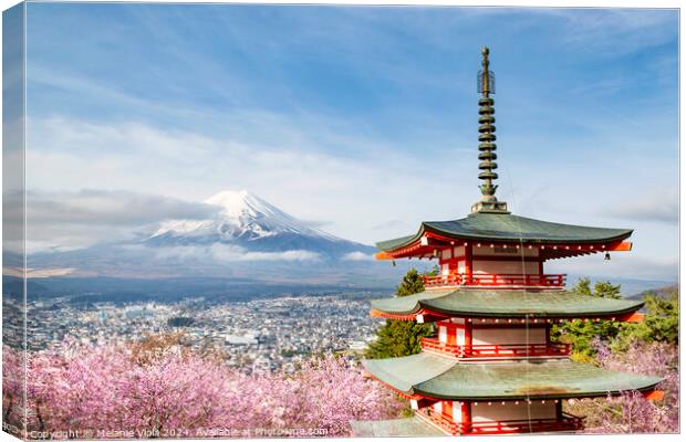 Magnificent view of Mount Fuji with Chureito Pagoda during cherry blossom season Canvas Print by Melanie Viola