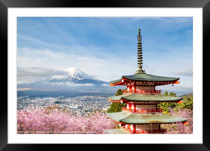 Magnificent view of Mount Fuji with Chureito Pagoda during cherry blossom season Framed Mounted Print by Melanie Viola