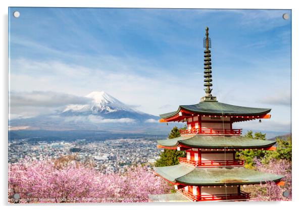 Magnificent view of Mount Fuji with Chureito Pagoda during cherry blossom season Acrylic by Melanie Viola