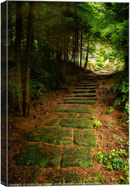 Footpath through the trees Canvas Print by Ironbridge Images