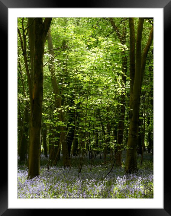 Bluebell Woodland Framed Mounted Print by Simon Johnson