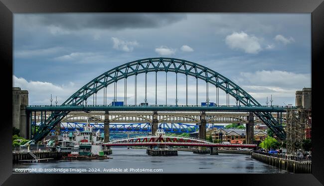 Tyne Bridges Framed Print by Ironbridge Images
