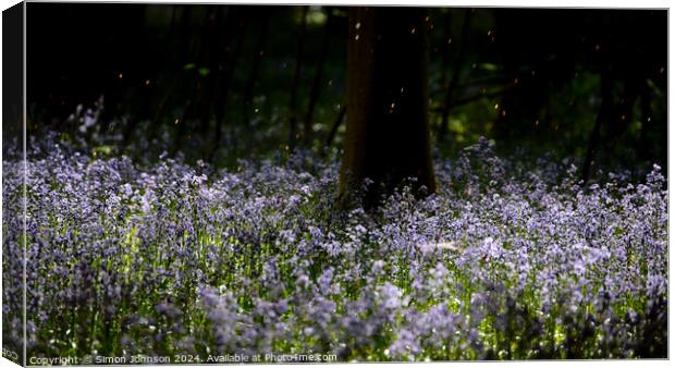 sunlit bLuebells and falling pollen Canvas Print by Simon Johnson