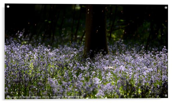 sunlit bLuebells and falling pollen Acrylic by Simon Johnson
