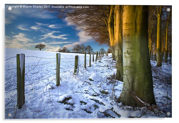 Snowfall Sunrise Acrylic by Wayne Shipley