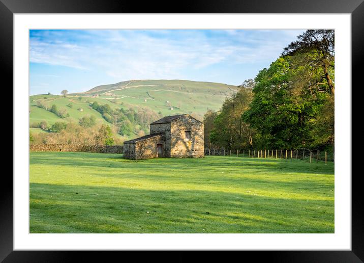 Swaledale At Its Best Framed Mounted Print by Steve Smith