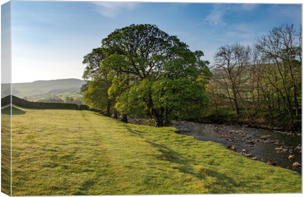 Early Morning Swaledale Canvas Print by Steve Smith
