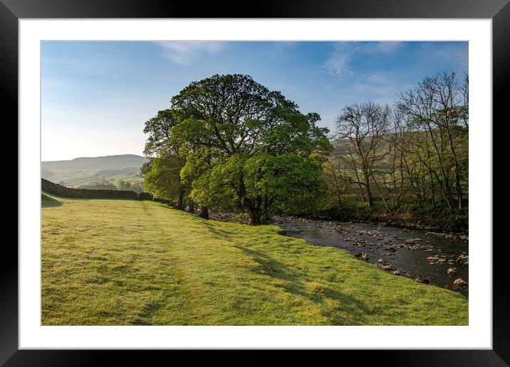 Early Morning Swaledale Framed Mounted Print by Steve Smith