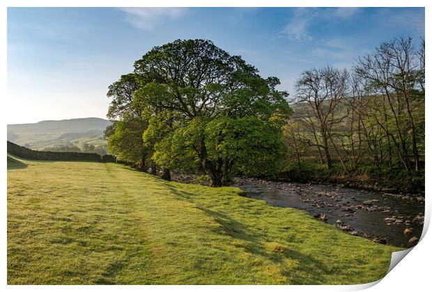 Early Morning Swaledale Print by Steve Smith