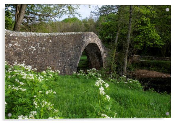 Ivelet Bridge Swaledale Acrylic by Steve Smith