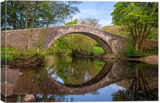 Ivelet Bridge Swaledale Canvas Print by Steve Smith