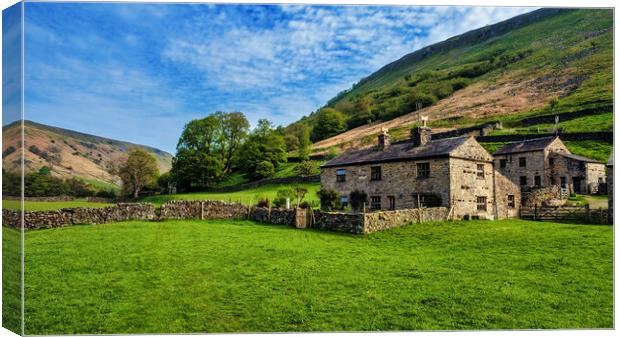 Swaledale Landscape Canvas Print by Tim Hill