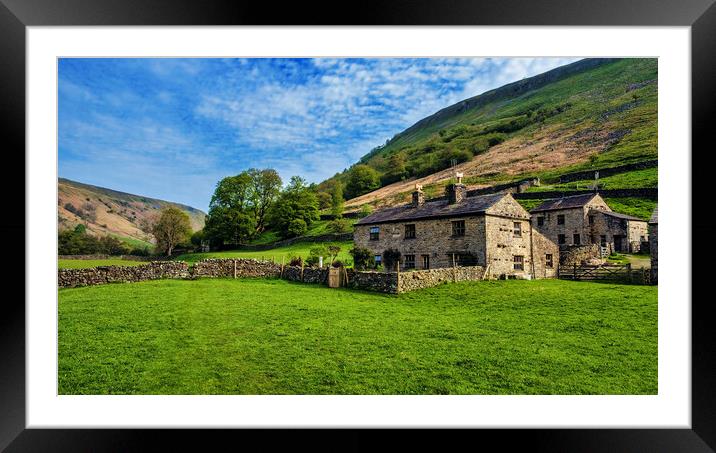 Swaledale Landscape Framed Mounted Print by Tim Hill