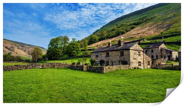 Swaledale Landscape Print by Tim Hill