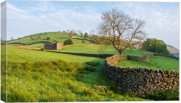 Muker Meadows Swaledale Canvas Print by Tim Hill
