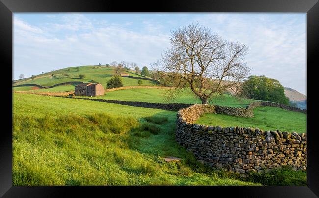 Muker Meadows Swaledale Framed Print by Tim Hill