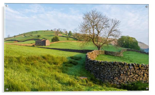 Muker Meadows Swaledale Acrylic by Tim Hill