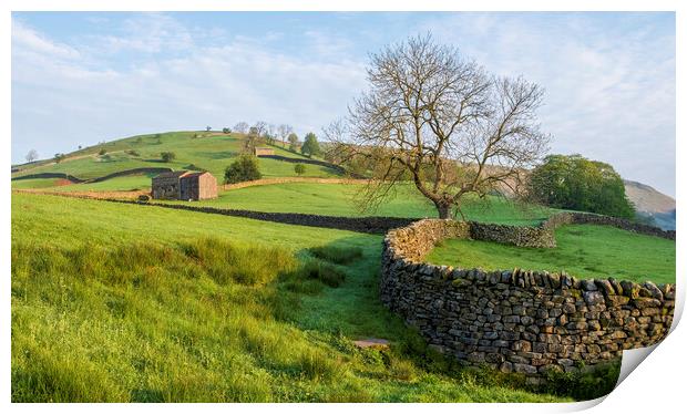 Muker Meadows Swaledale Print by Tim Hill